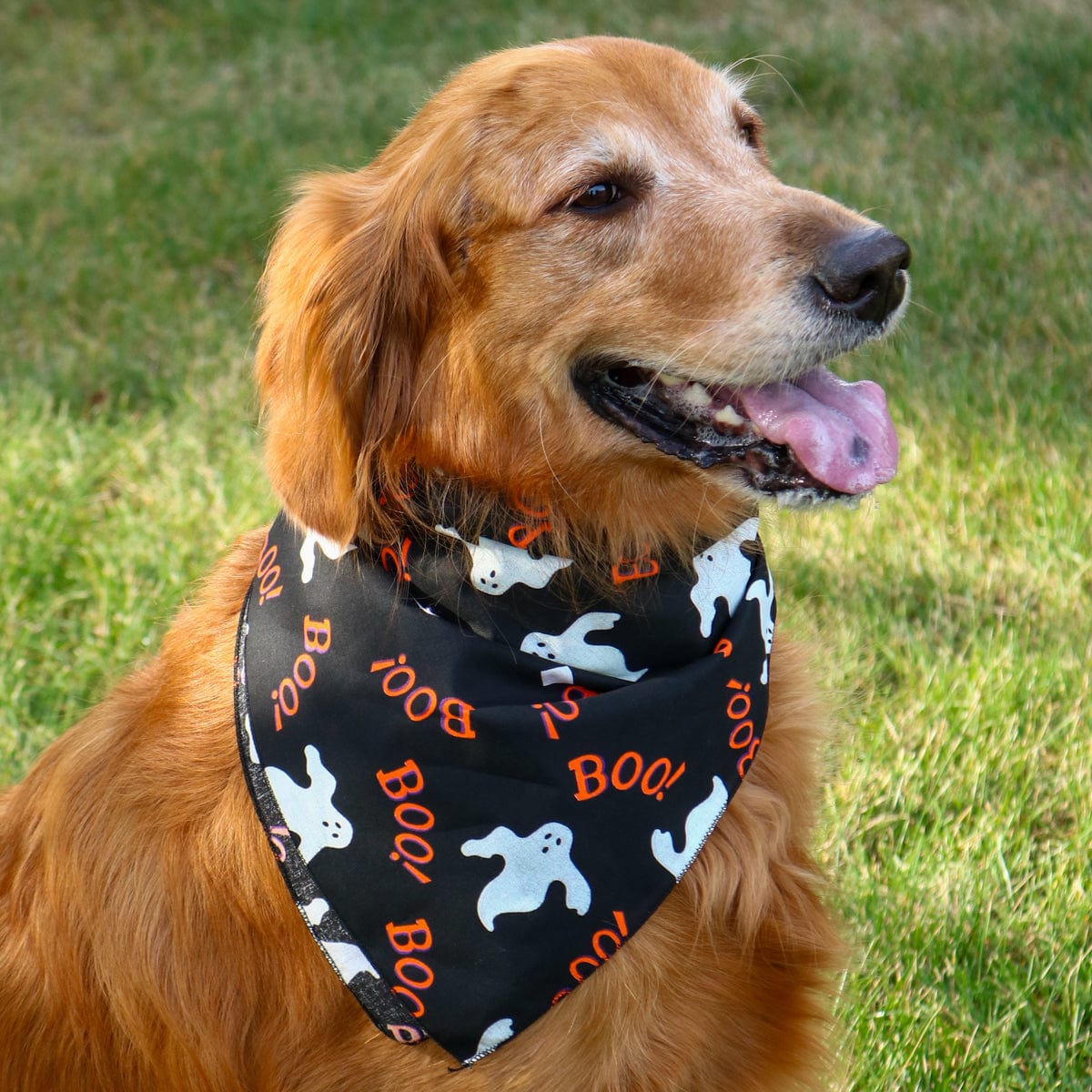 CTM® Glow In The Dark Halloween Boo Ghost Print Holiday Bandana - Black
