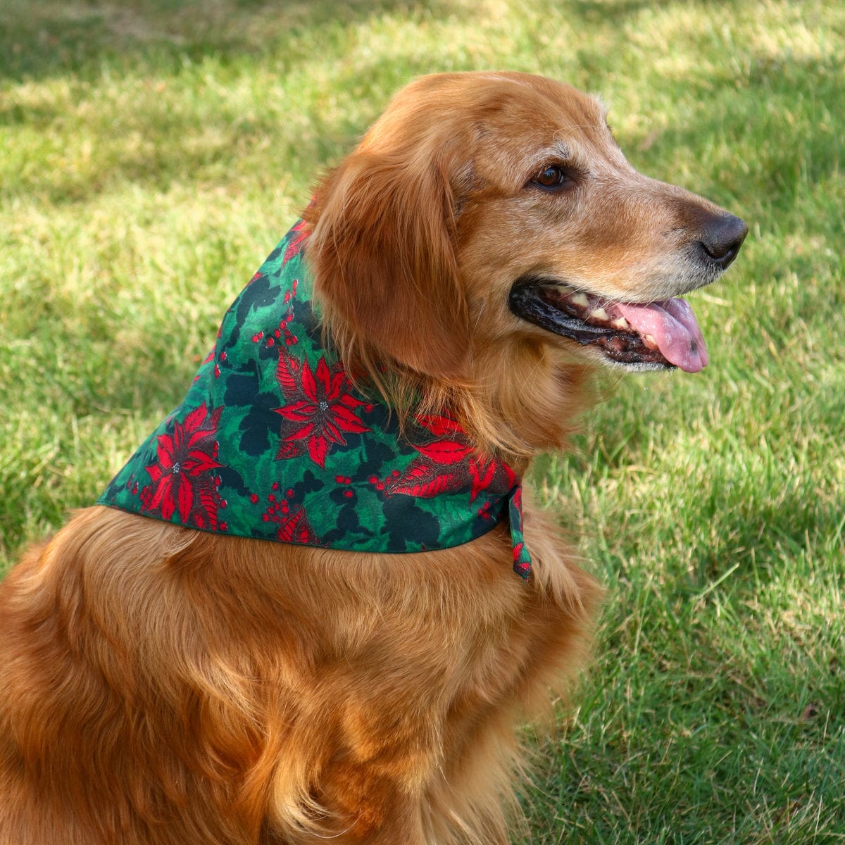 CTM® Christmas Poinsettia Print Holiday Bandana - Black