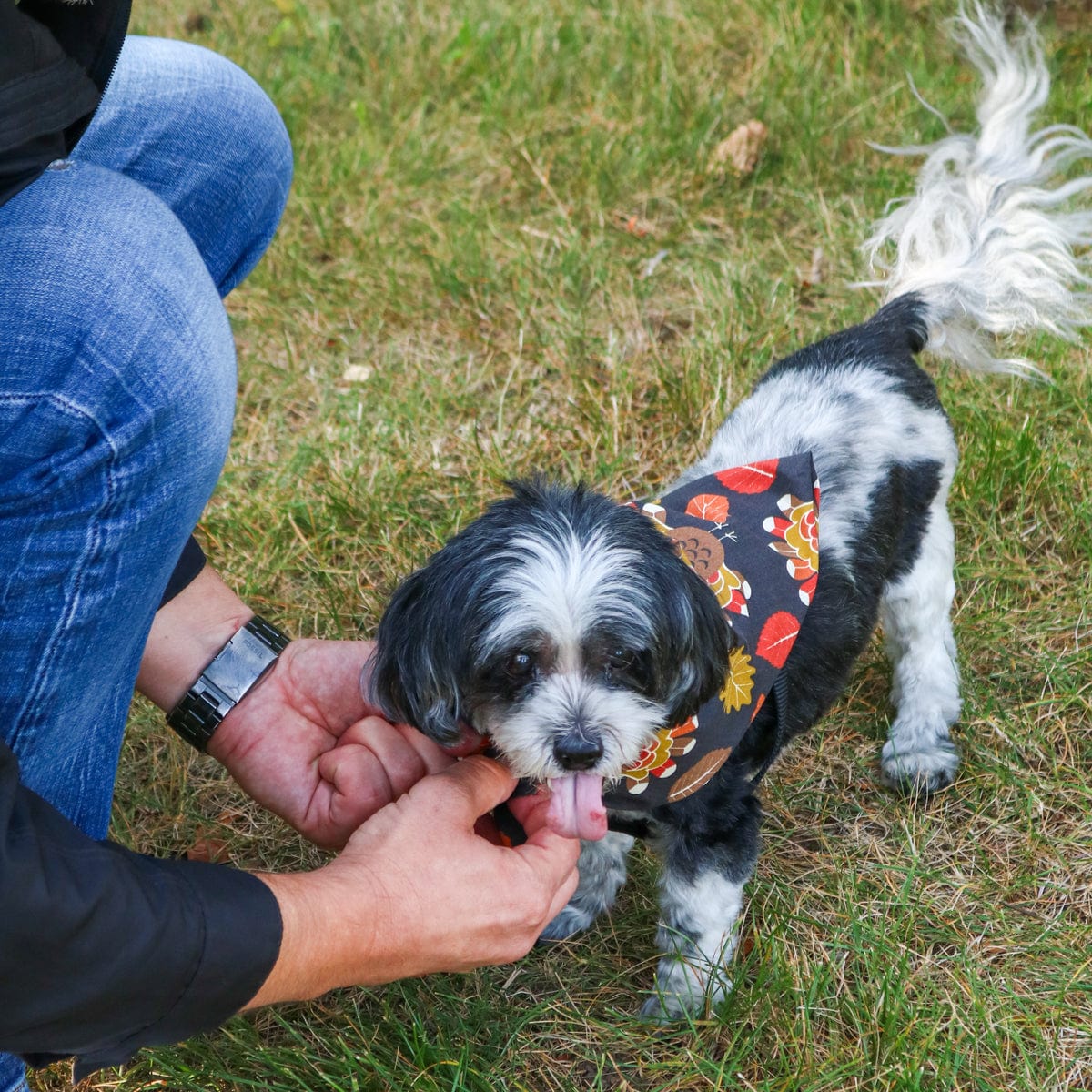CTM® Tossed Turkey Print Thanksgiving Holiday Bandana - Brown