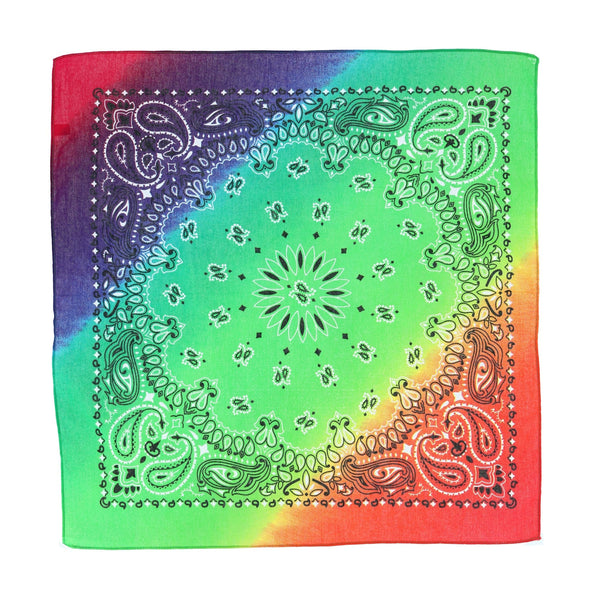 Rainbow Paisley Print Bandana