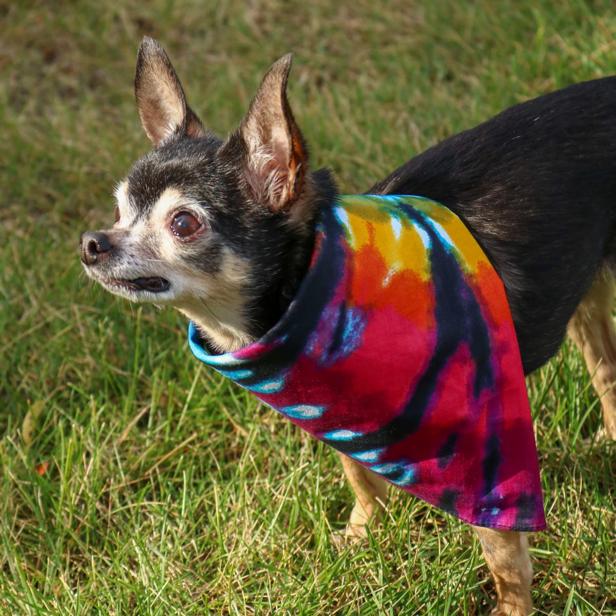 CTM® Cotton Dark Storm Tie-Dye Bandana - Multi-Color