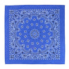 Modern Paisley 20x20 Cotton Bandana