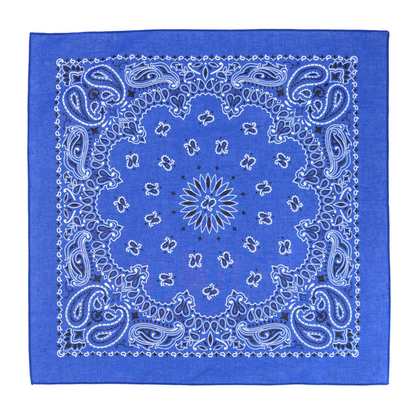 Modern Paisley 20x20 Cotton Bandana