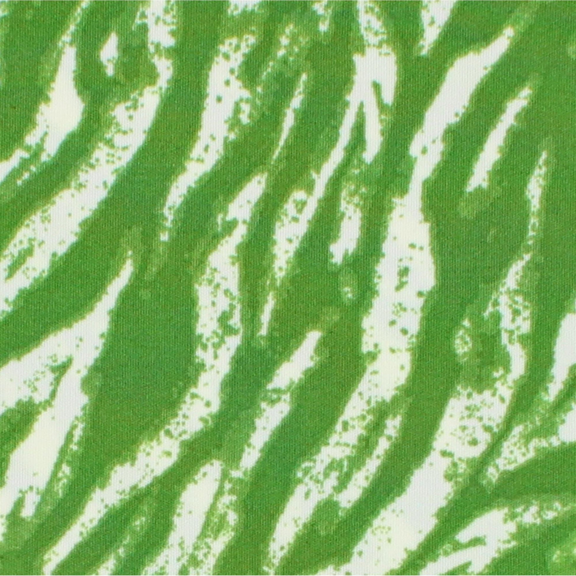 CTM® Women's Seamless Zebra Print No-Show Thong - Bamboo Green