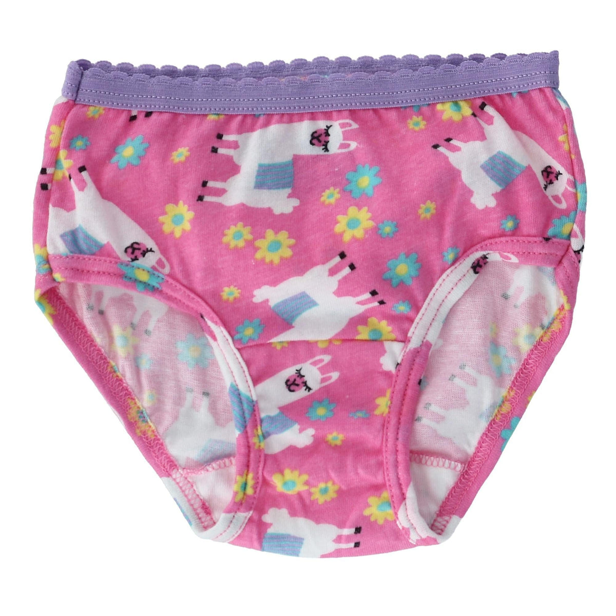 Fruit of the Loom Toddler Girl's Briefs Underwear (10 Pack) - Multi