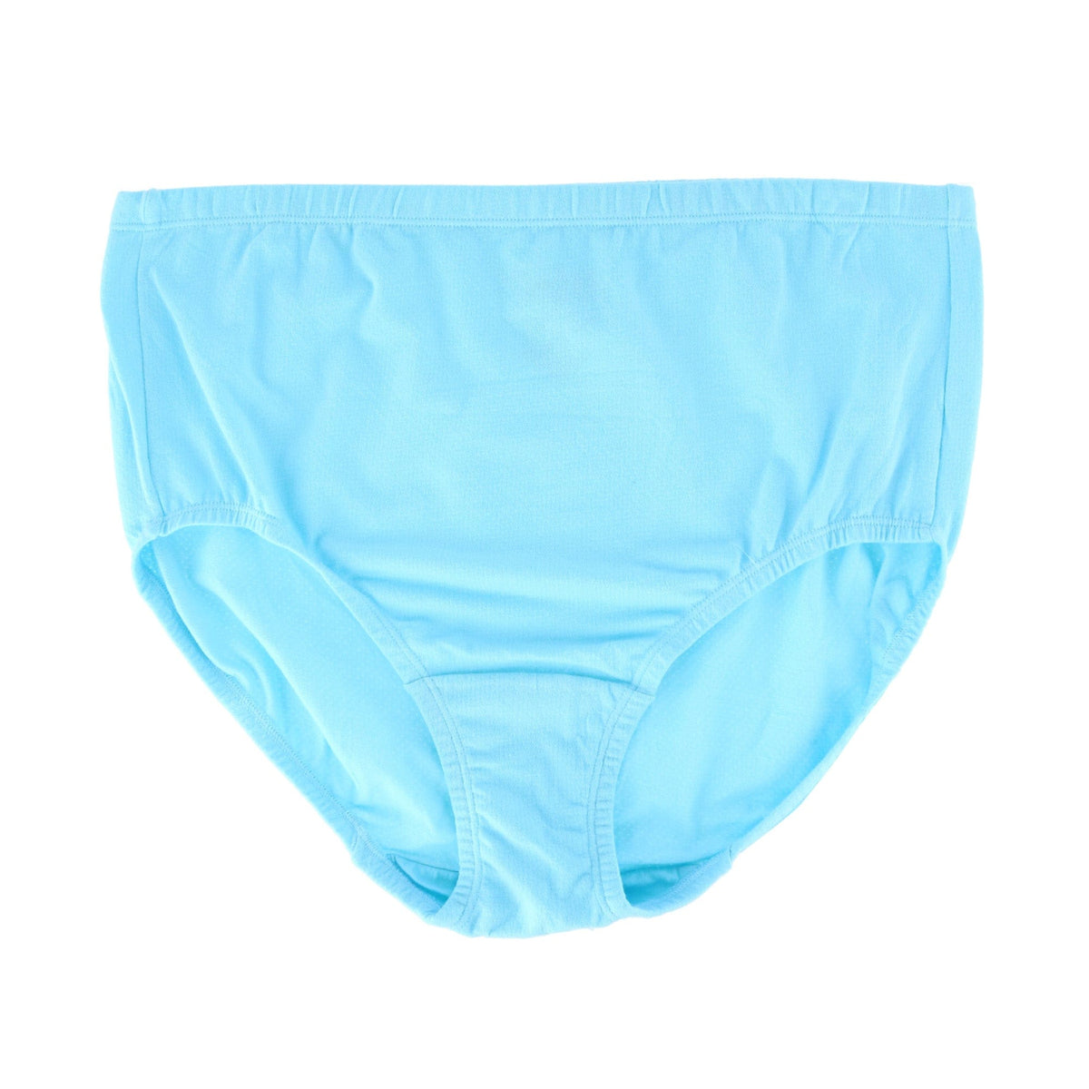 Fruit of the Loom Women's Plus Size Cotton-Mesh Brief Underwear (6 Pack) - Assorted