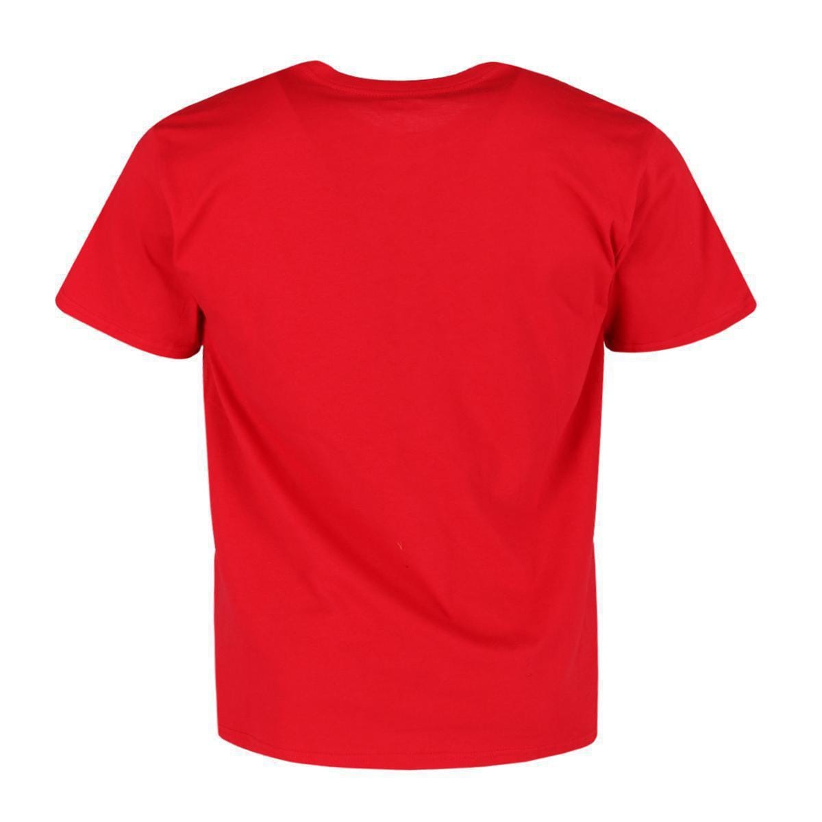 Jerry Leigh Men's Big and Tall Mickey Mouse Dad Family T-Shirt - Red Disney