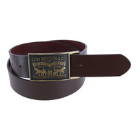 Brown with Brass Buckle
