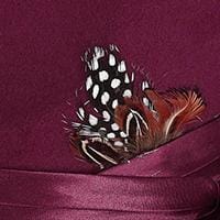 Kenny K Men's Dressy Faux Felt Fedora with Feather - Maroon