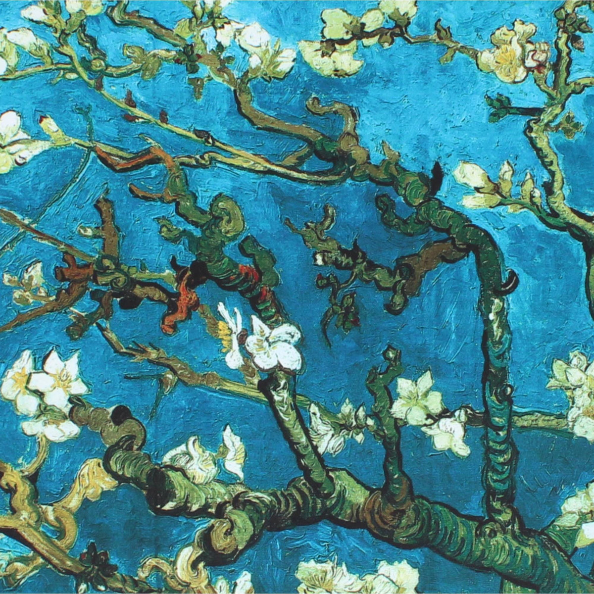The Magic Scarf Company Women's Van Gogh Almond Blossoms Print Silky Scarf - Blue