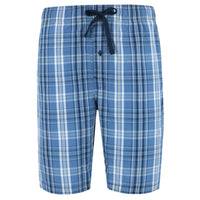 Blue Plaid