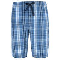 Blue Plaid
