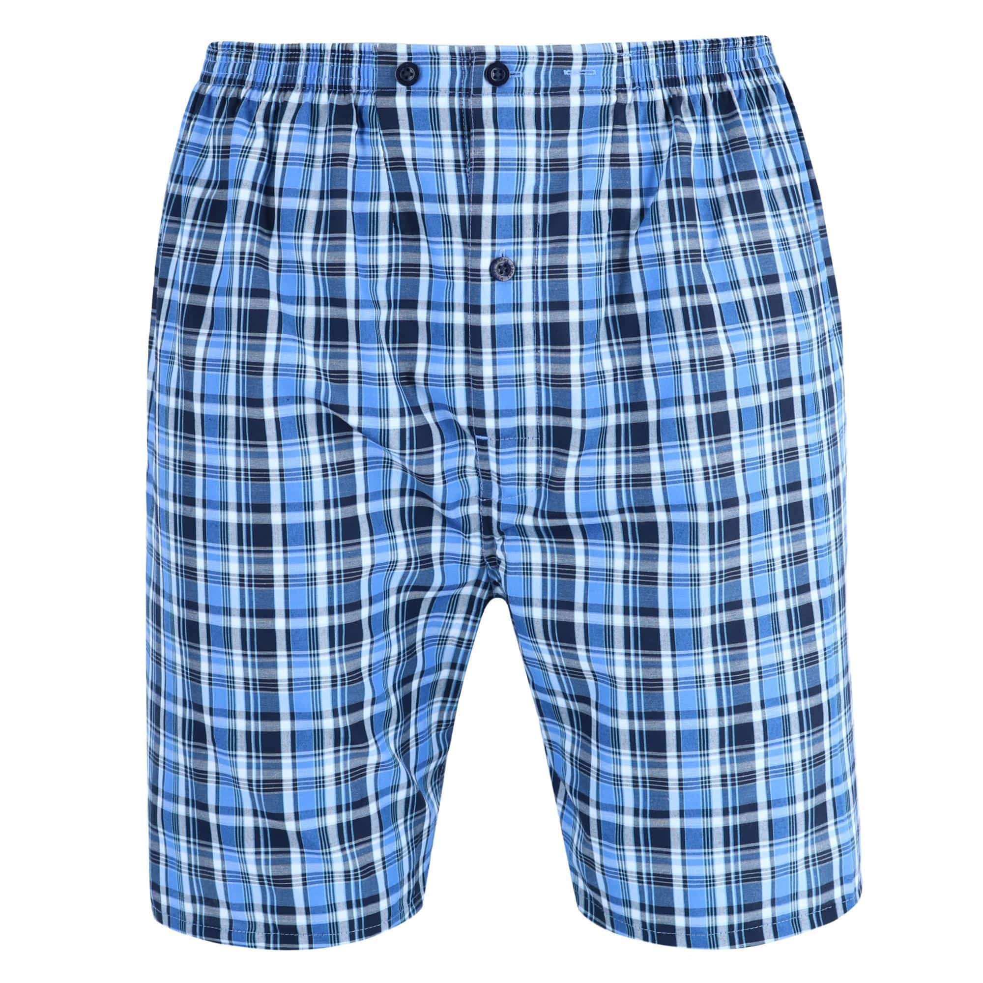 Hanes Men's Short Sleeve Short Leg Pajama Set - Blue Plaid