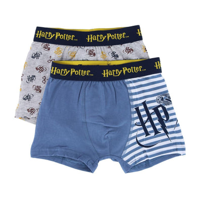 Harry Potter Boys Boxer Briefs (2 Pack)