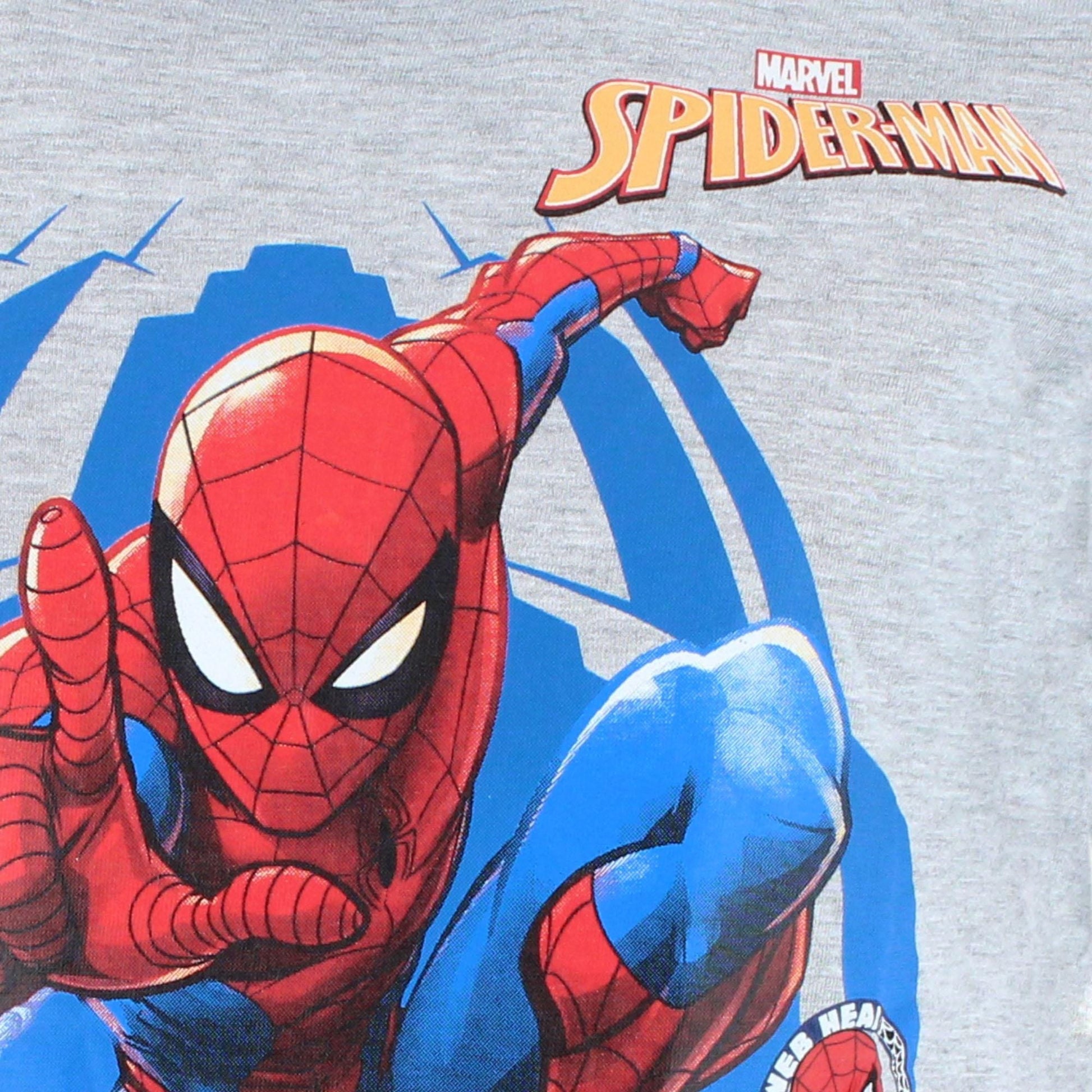 Textiel Trade Boy's Toddler Spiderman T-Shirt - Gray