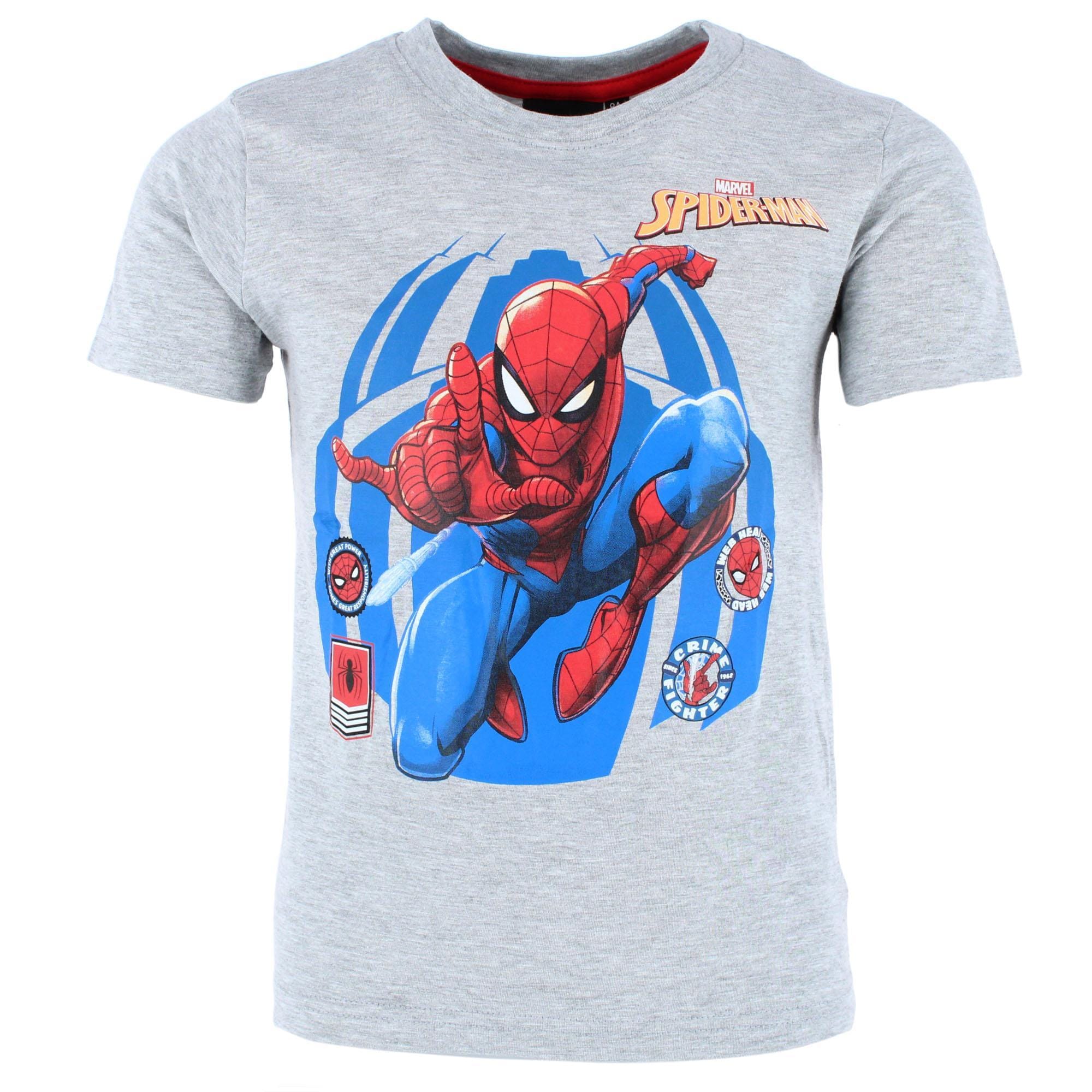 Textiel Trade Boy's Spiderman T-Shirt - Gray