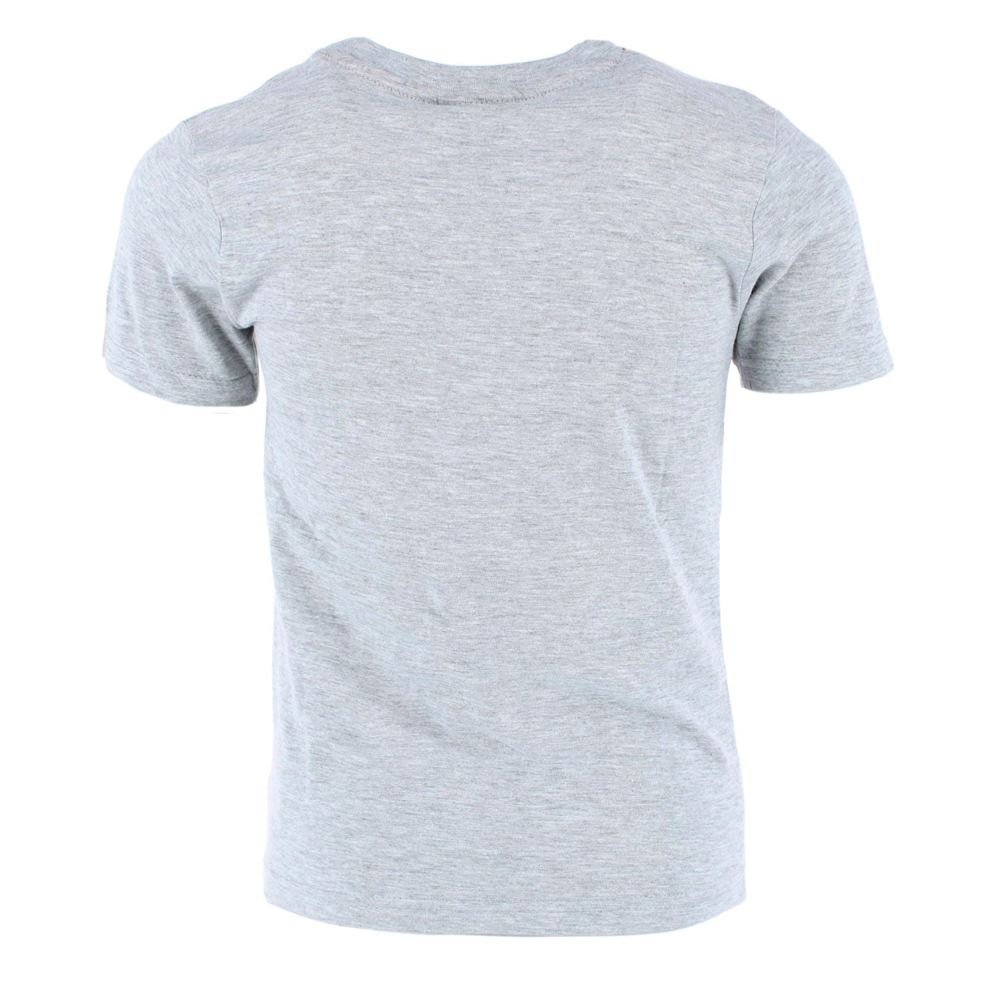Textiel Trade Boy's Spiderman T-Shirt - Gray