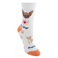 Chihuahua